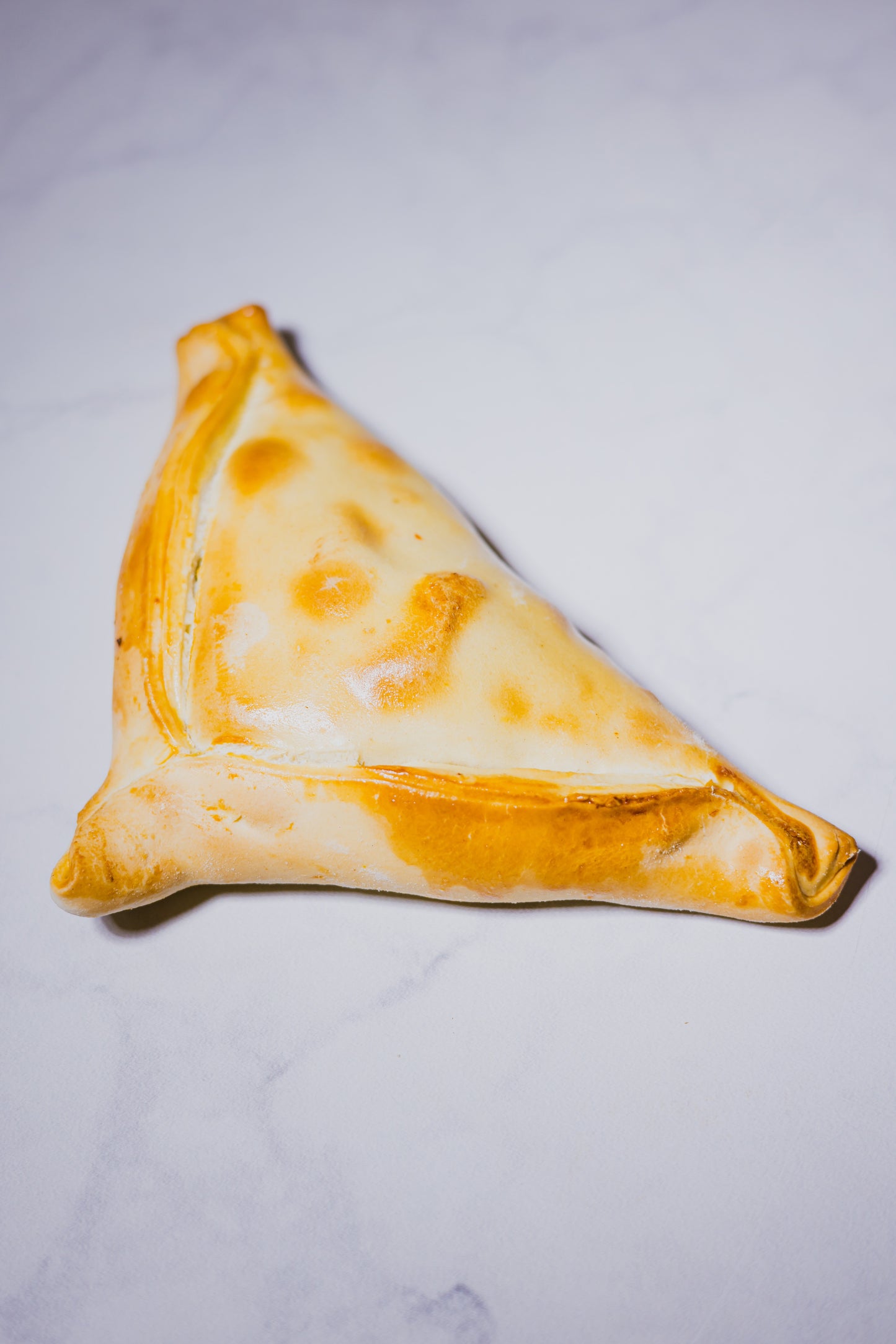 EMPANADA HORNEADA DE POLLO